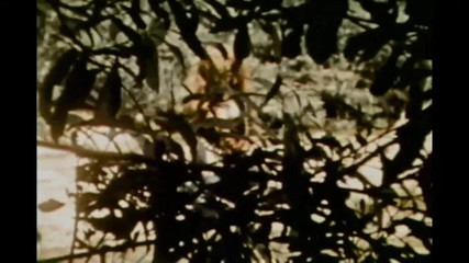 For True Lovers of Vintage Redheads with Freckles (full Movie)