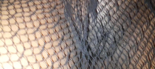 My Husband Goes Out, I Used Nylons to Roll Around for My Employee