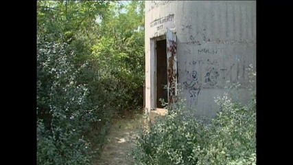 Miss Mollie!!! - Experience #02