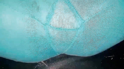 Virgin stepsister's discount