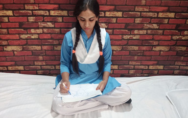 Indian Village Student Girl Sex