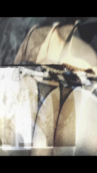 Season Four - Big Booty Colombiana Life