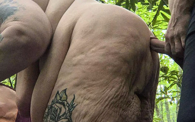 Bended This Stranger Over in the Woods Tree Covered