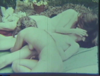 Triangle in the garden