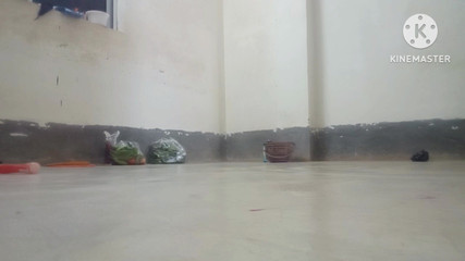 Desi Missionary Sex Video