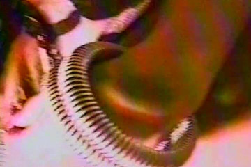 A One of a Kind Pierced Babe Hot Her Pussy Lips Spread