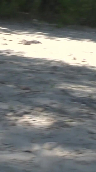 Young Rita River Side Casting