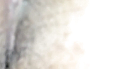 Tight Asses Beg for Dick