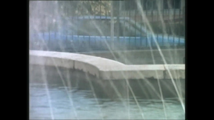 The Ultimate Pussy Chase