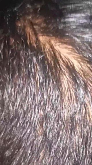 On New Year's Eve, I Fucked My Old Lover Fiercely at Night and Celebrated the New Year