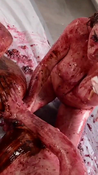 Messy Girls: Pie Whores