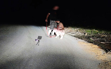 Such an Aspiring Little Toilet Cunt!