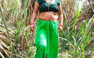 Indian Bhabhi Fucked Outside the House in Sugarcane Field