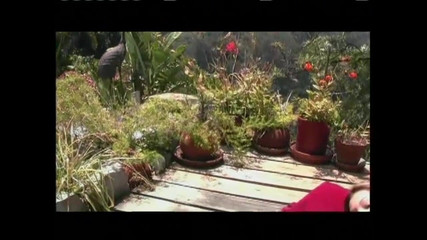 Nasty Sexual Dreamers