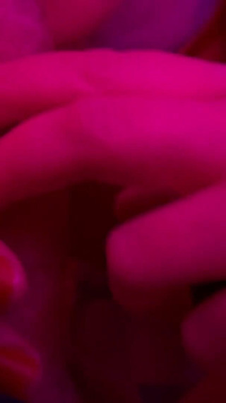 A Creampe for a New Guy