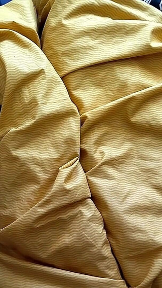 I Share a Bed with My Stepsister and Hear the Sounds of Sex Through the Wall. We Can't Sleep and Fucking Until I Creampie Her