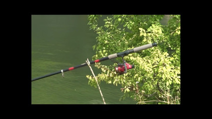 Too Old but They Like It