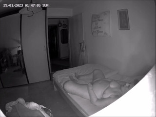 Surveillance camera 3