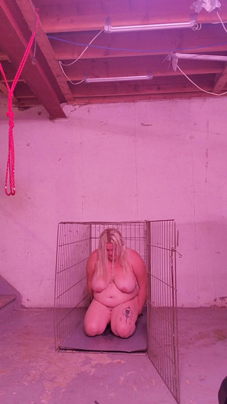 BBW Slave Punished