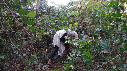 Desi Beautiful Hot Bhabhi Jungle Main Sex Kiya Out Dorsex