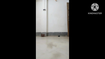 Hardcore Sex Desi Style Indian Big Ass Big Local Sex Boyfriend Girlfriend Sex Morning Sex Indian